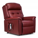 Romulus Leather Riser Recliner