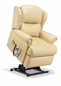 Malvinas Leather Riser Recliner