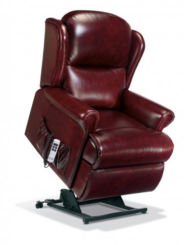 Malvinas Leather Riser Recliner